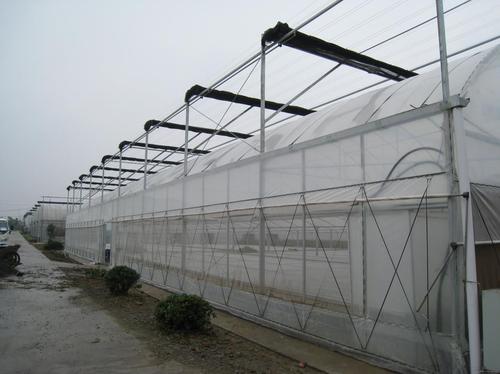 农业科技开发有限公司提供薄膜连栋温室厂家/专业温室的相关介绍,产品