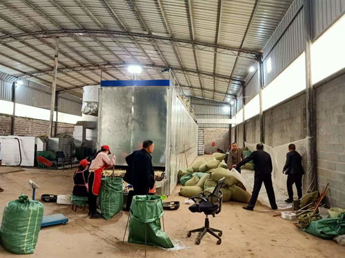 罗平这家魔芋加工厂正式投产,日加工鲜魔芋30吨