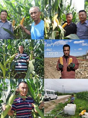 吉林省云川农业科技开发有限公司新年祝词