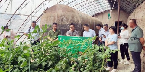 八师石河子市科技调研组前往六师学习设施农业技术